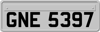 GNE5397