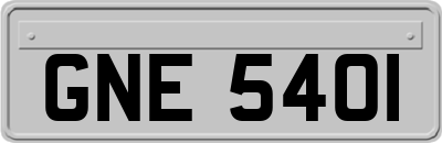 GNE5401