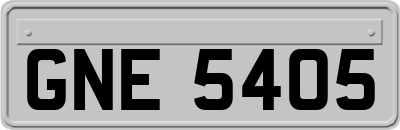 GNE5405