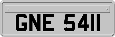 GNE5411