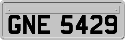 GNE5429