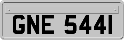 GNE5441