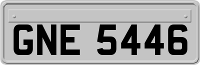GNE5446