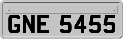 GNE5455