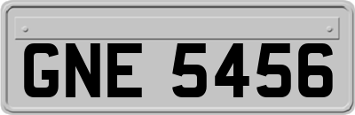 GNE5456
