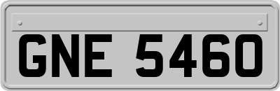 GNE5460