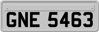GNE5463