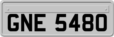 GNE5480