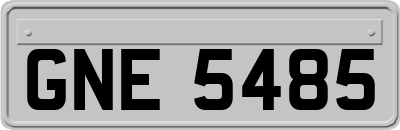 GNE5485
