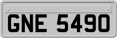 GNE5490