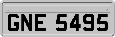 GNE5495