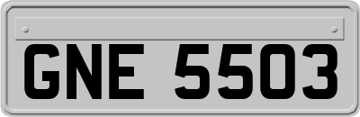 GNE5503