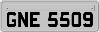 GNE5509