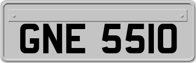 GNE5510