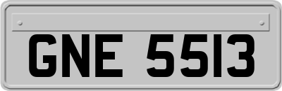 GNE5513