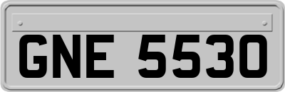 GNE5530
