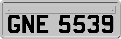 GNE5539