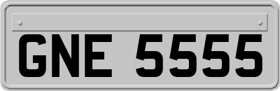 GNE5555