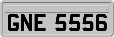 GNE5556