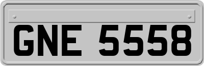 GNE5558