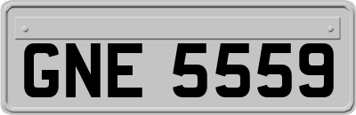 GNE5559