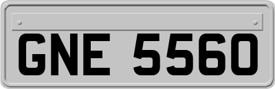 GNE5560
