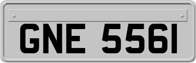 GNE5561