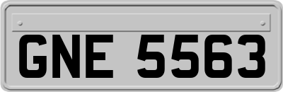 GNE5563