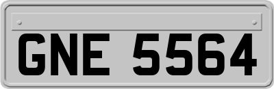GNE5564