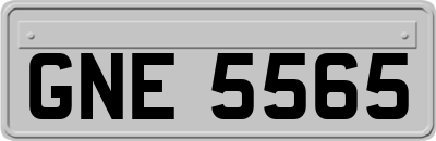 GNE5565