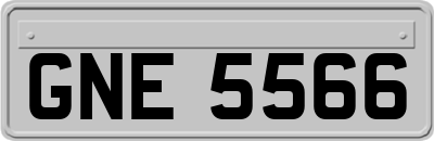 GNE5566