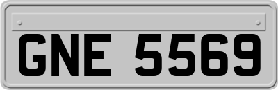GNE5569