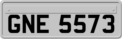 GNE5573