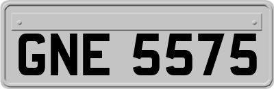 GNE5575