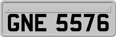 GNE5576