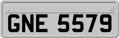 GNE5579