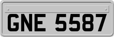 GNE5587