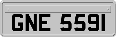 GNE5591