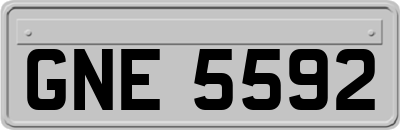 GNE5592