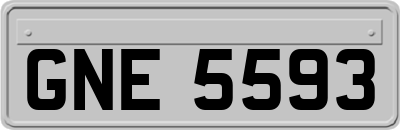 GNE5593