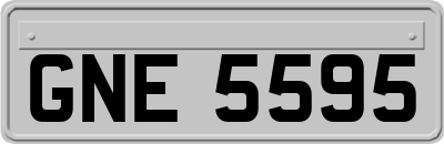 GNE5595