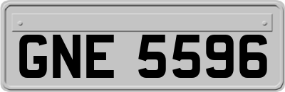 GNE5596