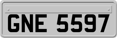GNE5597