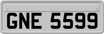 GNE5599