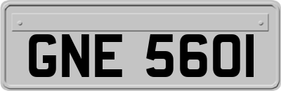 GNE5601
