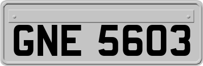 GNE5603