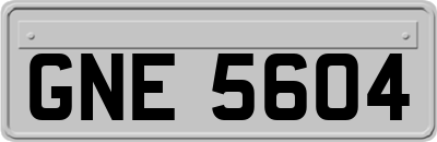GNE5604
