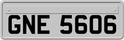 GNE5606