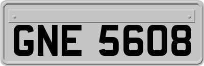 GNE5608