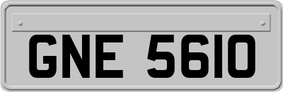 GNE5610